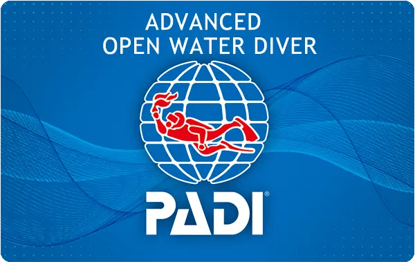 アドヴァンスオープンウォーターダイバー