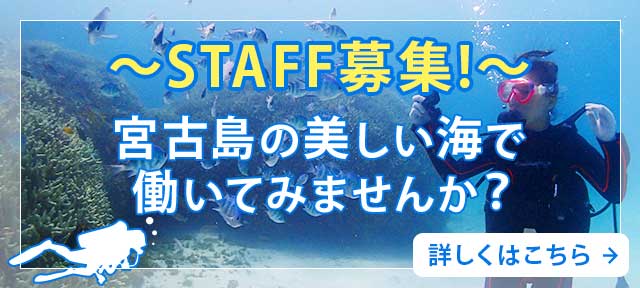 STAFF募集！