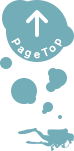 Page Top